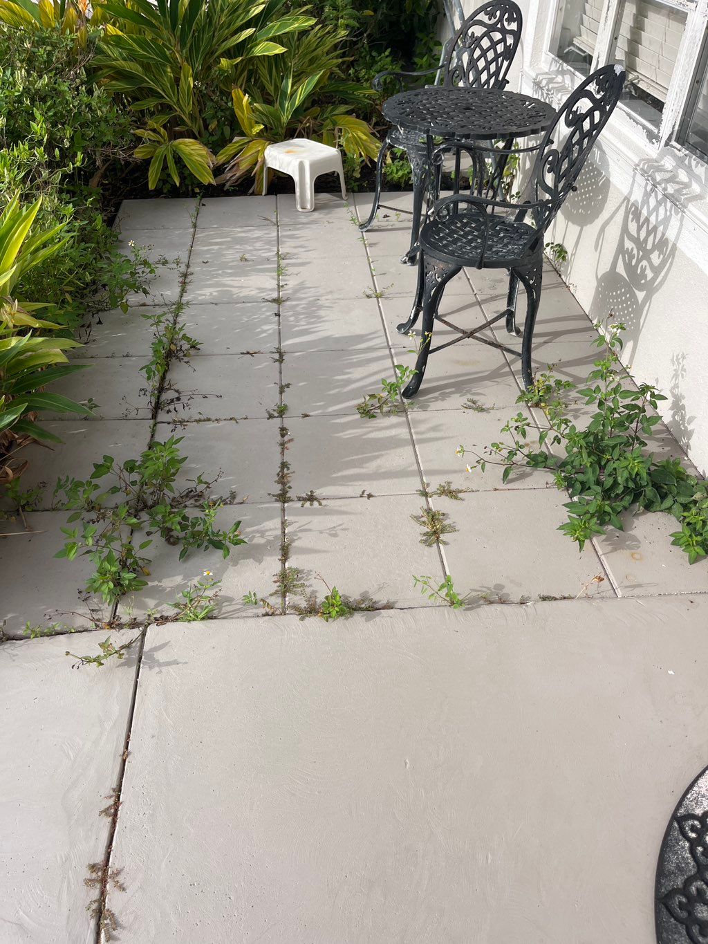 Removal of weeds