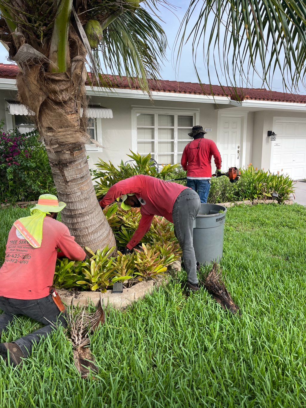Property cleanup