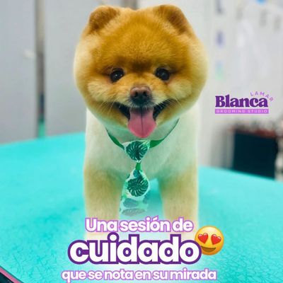 Avatar for Blanca Lamar Grooming Studio