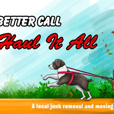 Avatar for Haul It All Junk Removal