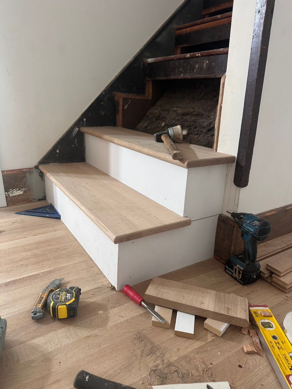 Projects and media