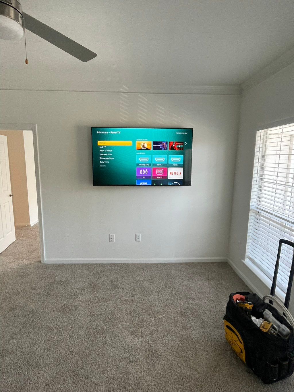 Projects and media