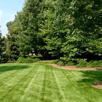 Avatar for Eddie's Landscaping