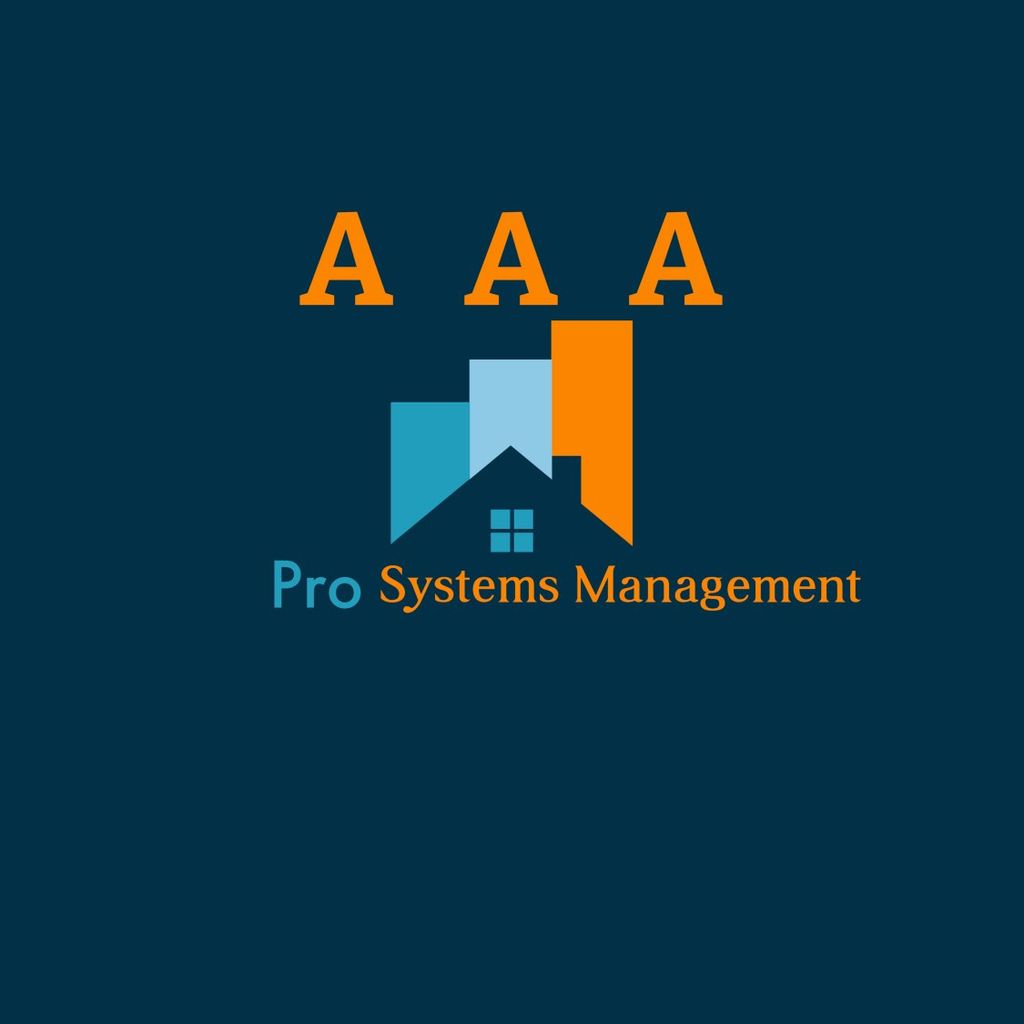 AAA PRO SYSTEMS L.L.C