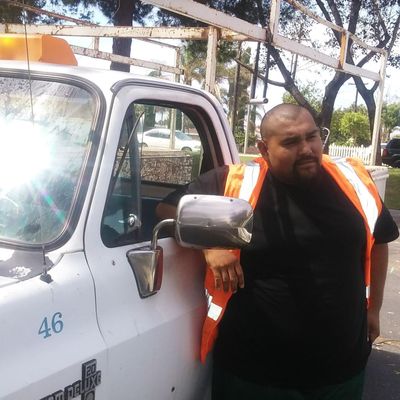 Avatar for Medina Landscaping