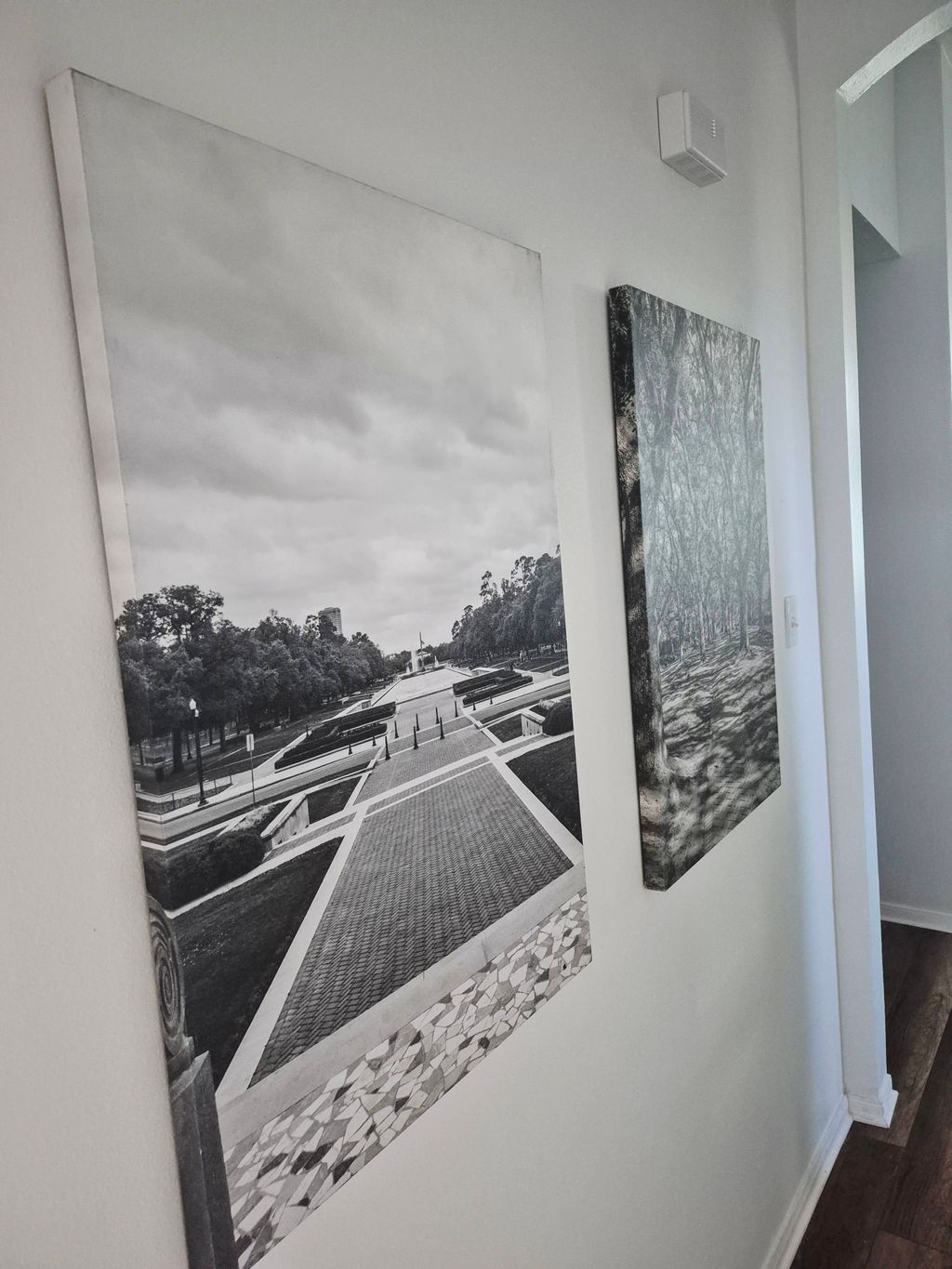 Projects and media