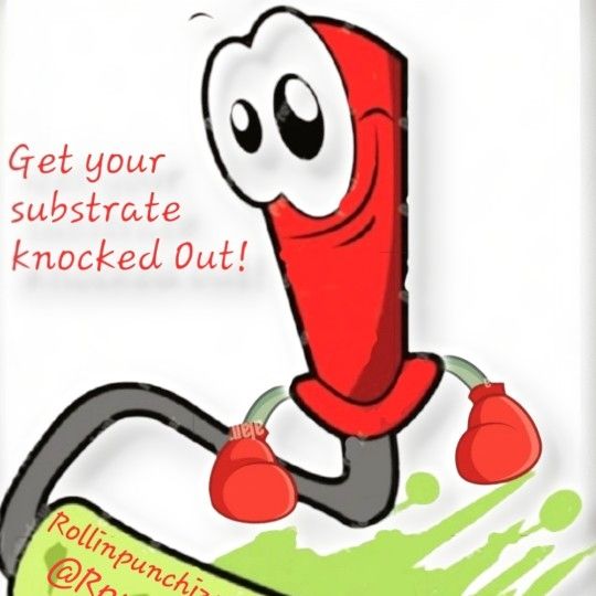 Rollinpunchizpaintingllc