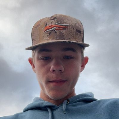 Avatar for KB LAWN SERVICE