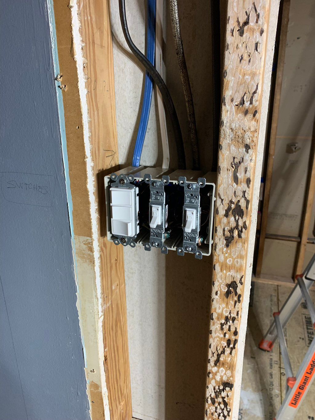 Projects and media