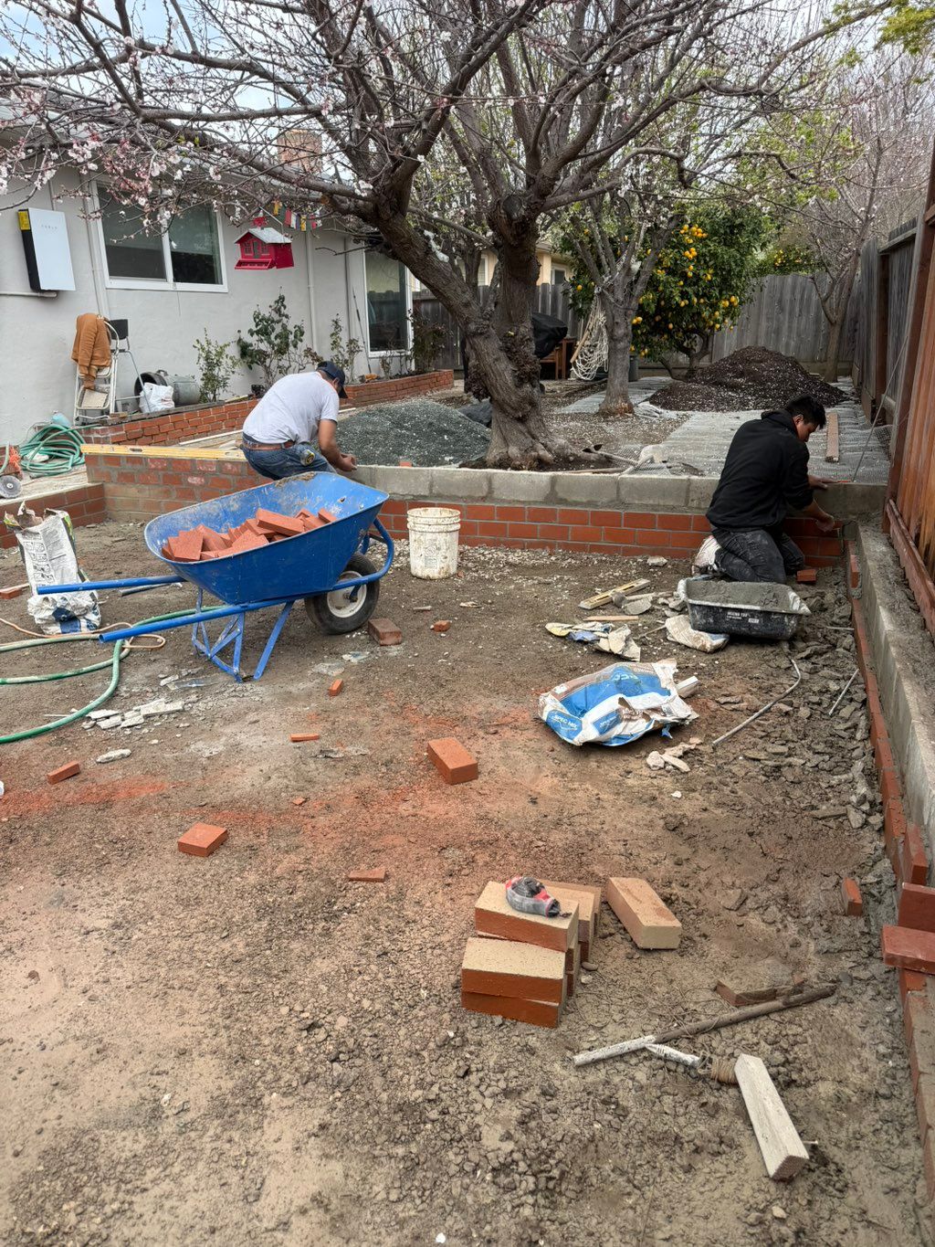 Projects and media