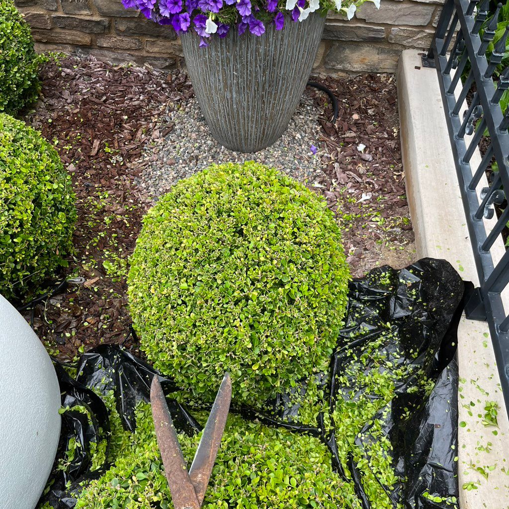 Green’s garden