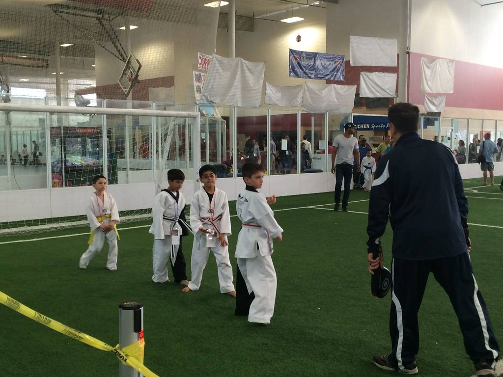 Taekwondo 2015