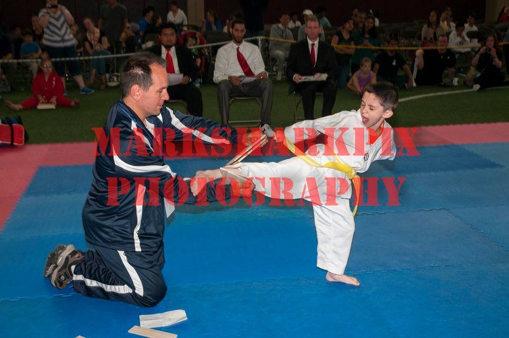 Taekwondo 2015