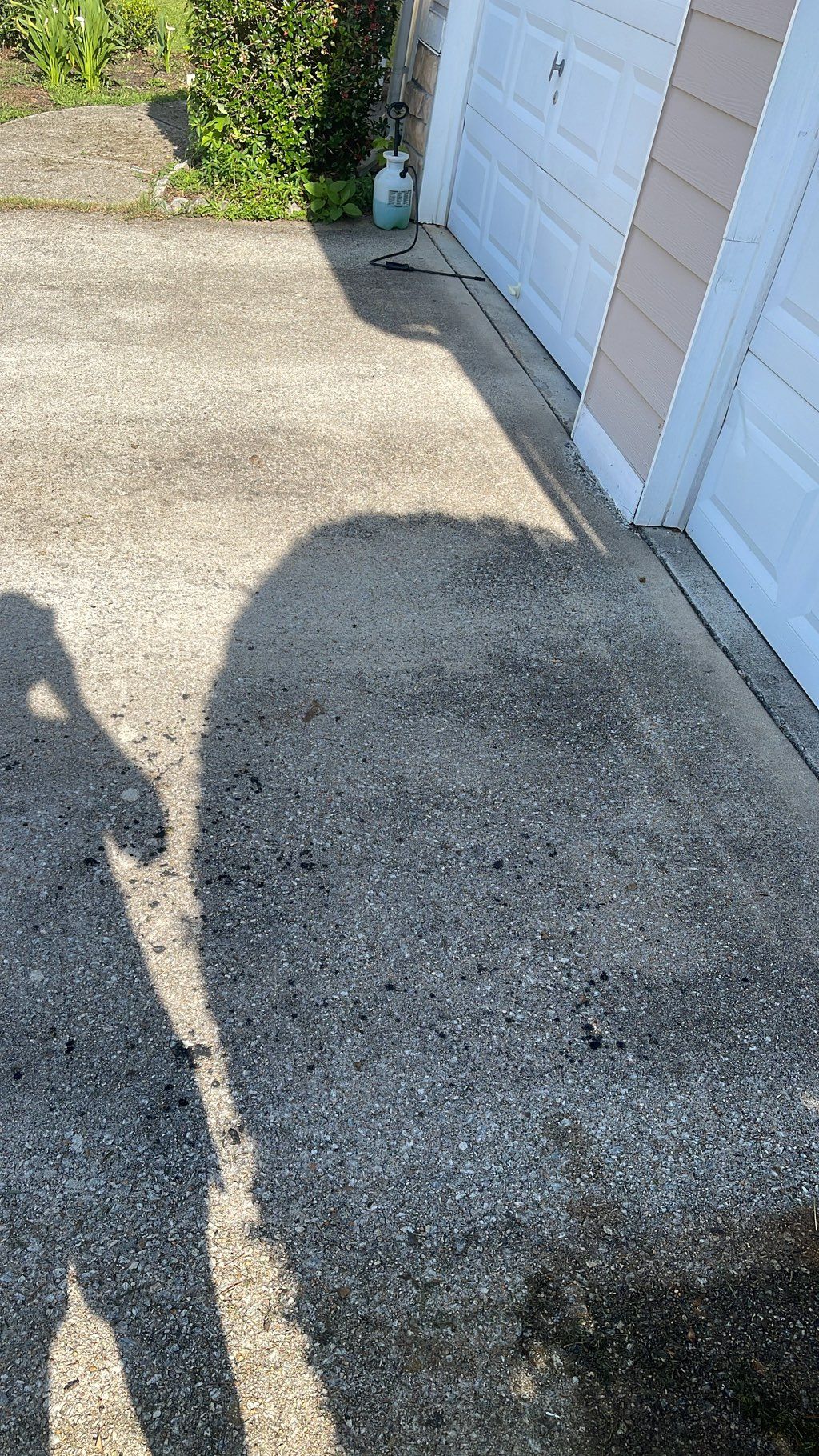 B4 pictures (driveway)