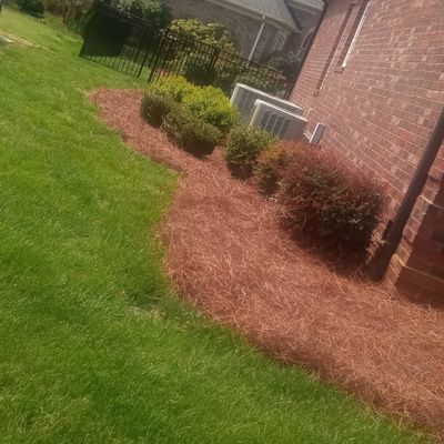 Avatar for Derrick's landscaping and Pine Needles