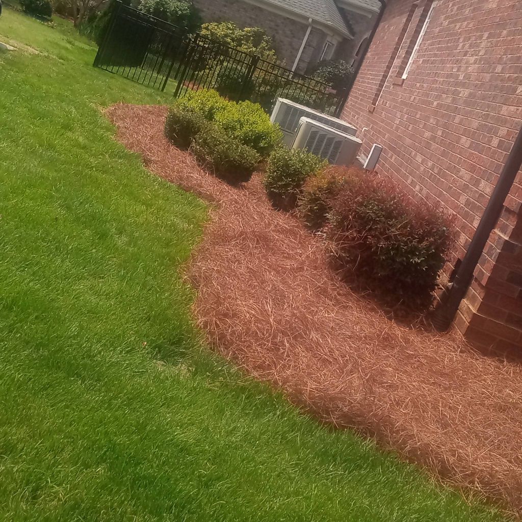 Derrick's landscaping and Pine Needles