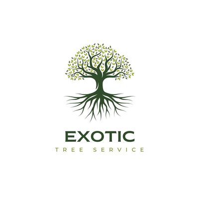 Avatar for Exotic Tree Service llc