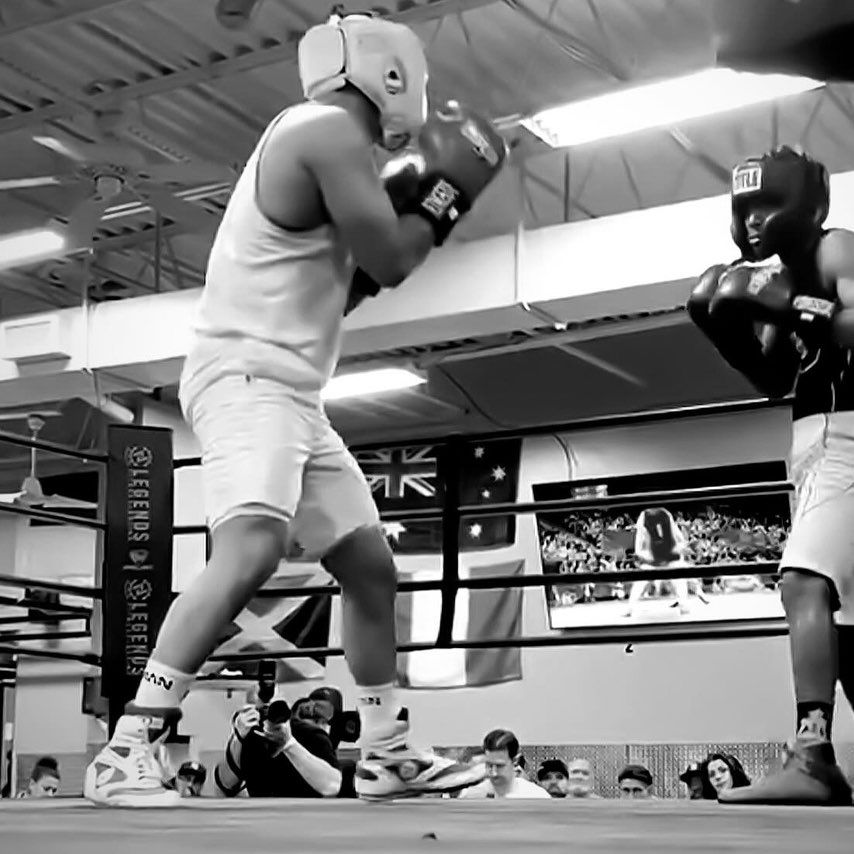 THEBOXING TRAINER