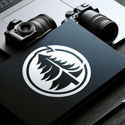 Avatar for Rare Moments Photography