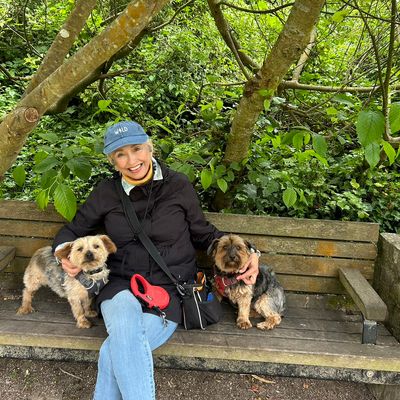 Avatar for Deborah Vick Dog Walking and Cat care