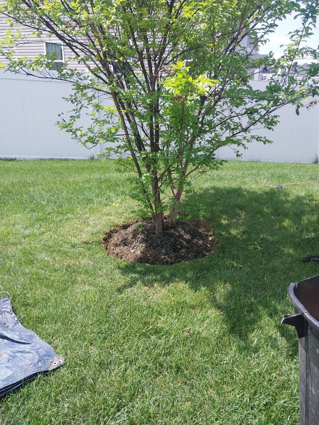 clean up and make edge before spread mulch 
