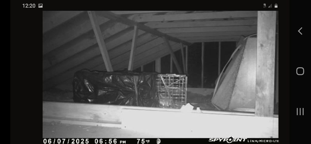 got the raccoon that was in customers house 