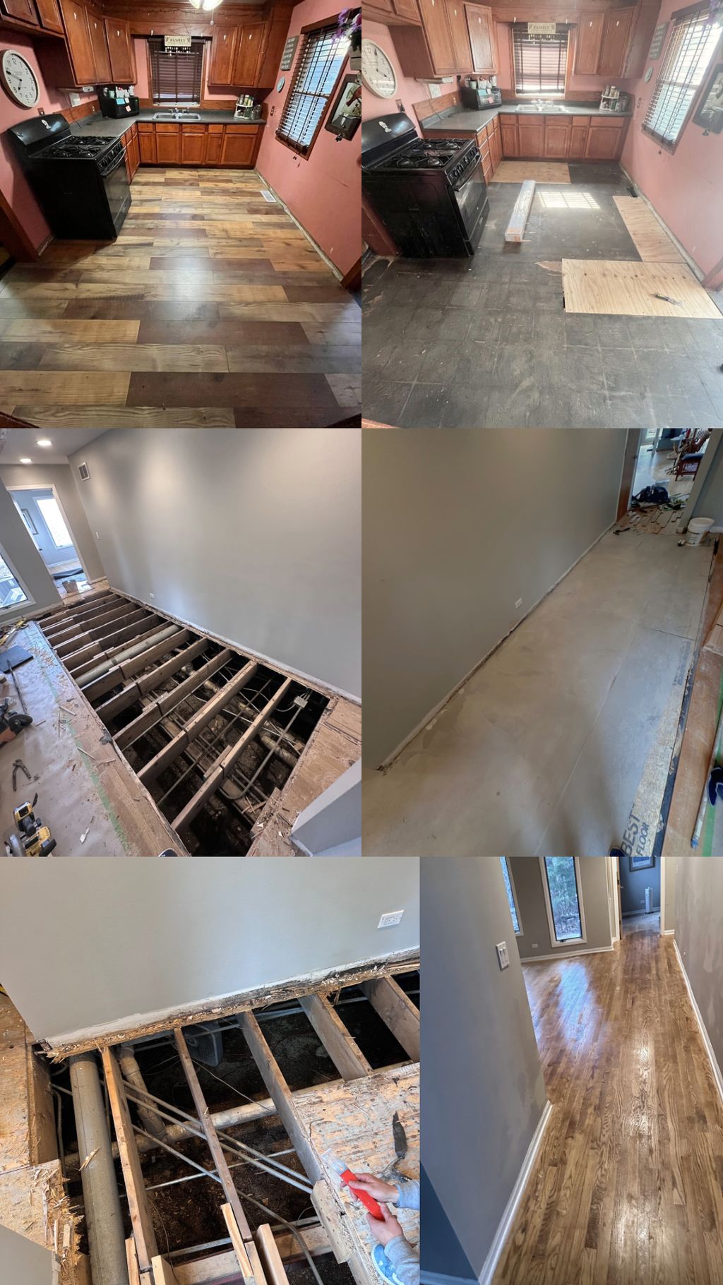 Projects and media