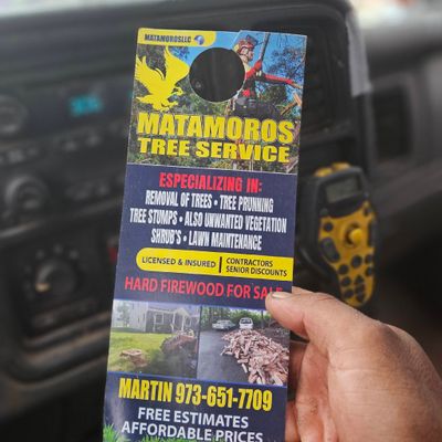 Avatar for Matamoros Tree Service & Lawn care.