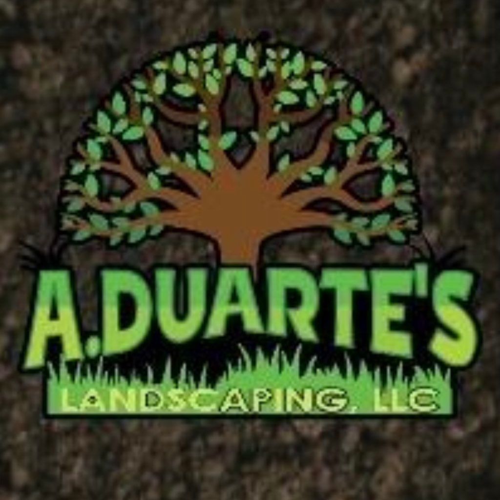 A.Duarte’s tree service & Lanscaping