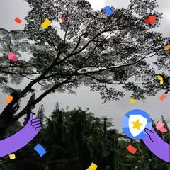 pro avatar