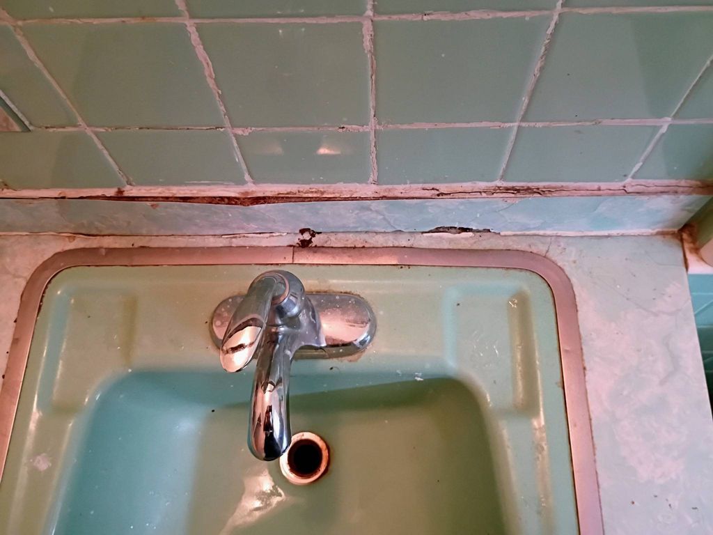 sink before milldew. 