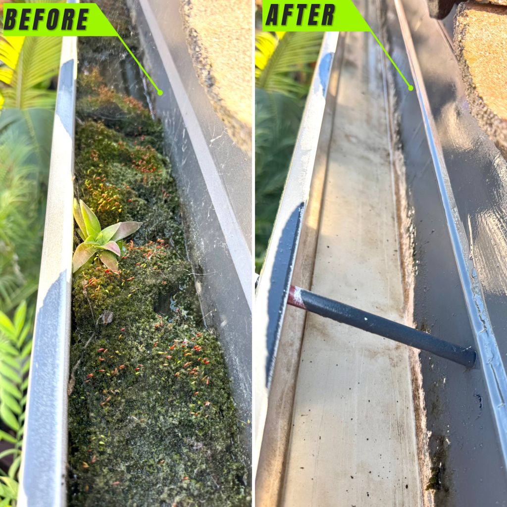 Gutter Cleaning