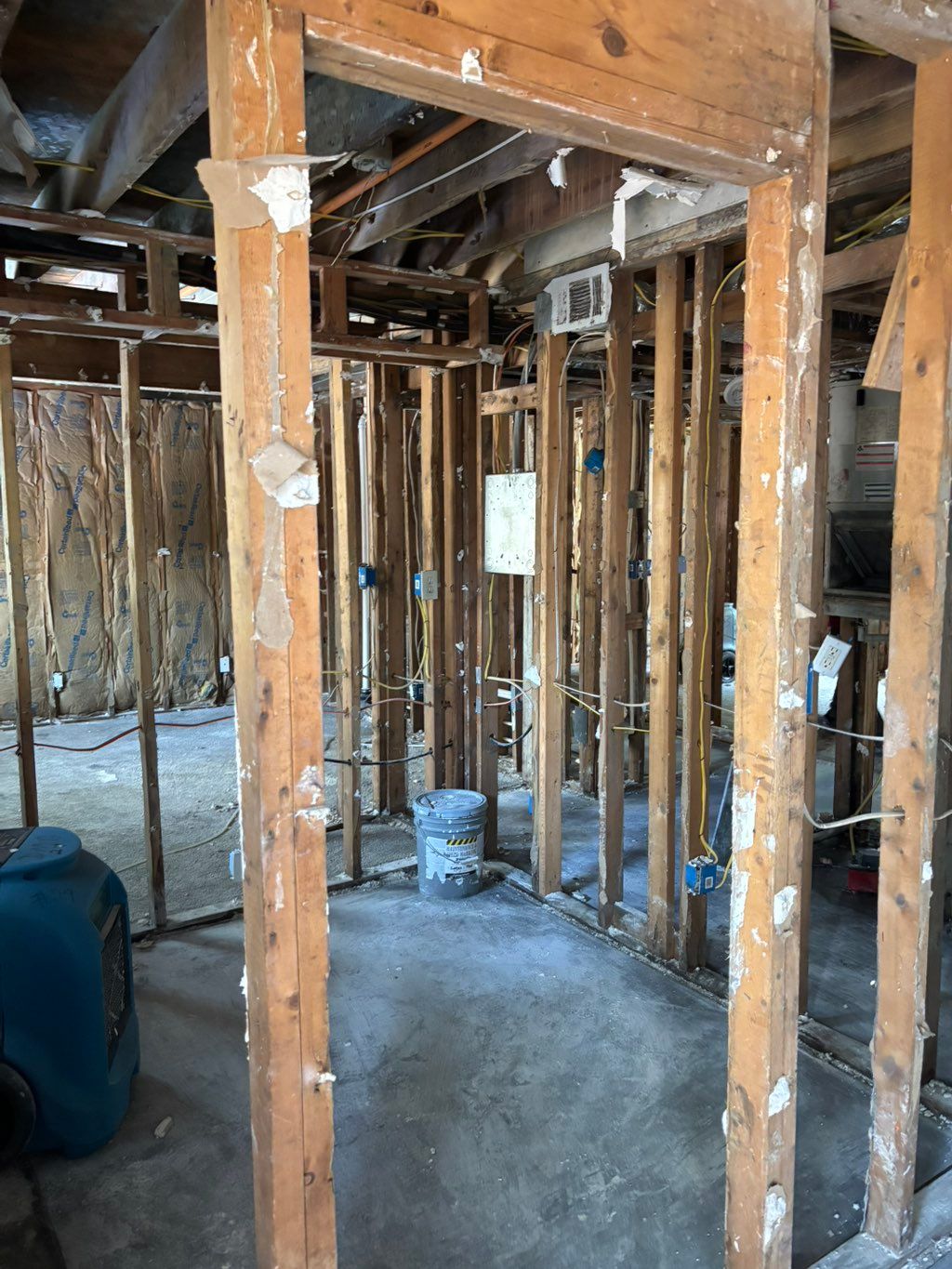 Projects and media