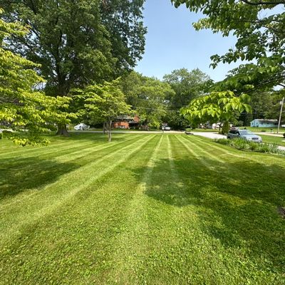 Avatar for Andrew’s Lawn Cutting
