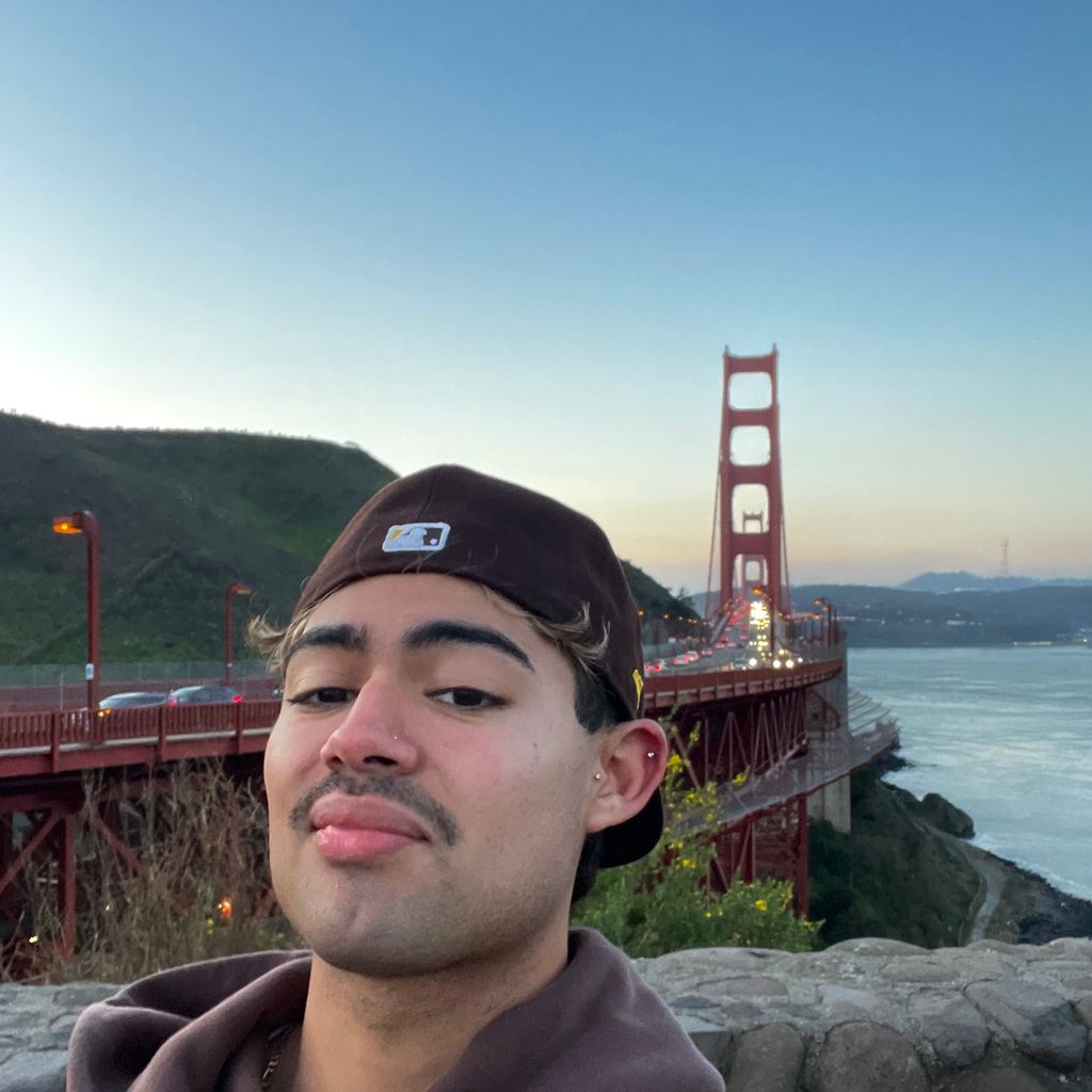 pro avatar