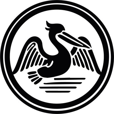 Avatar for Iron pelican