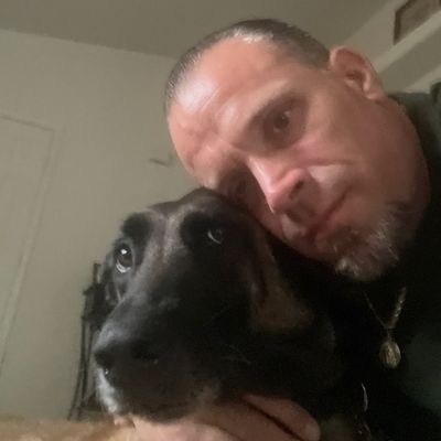 Avatar for King s Corner Dog Trainer