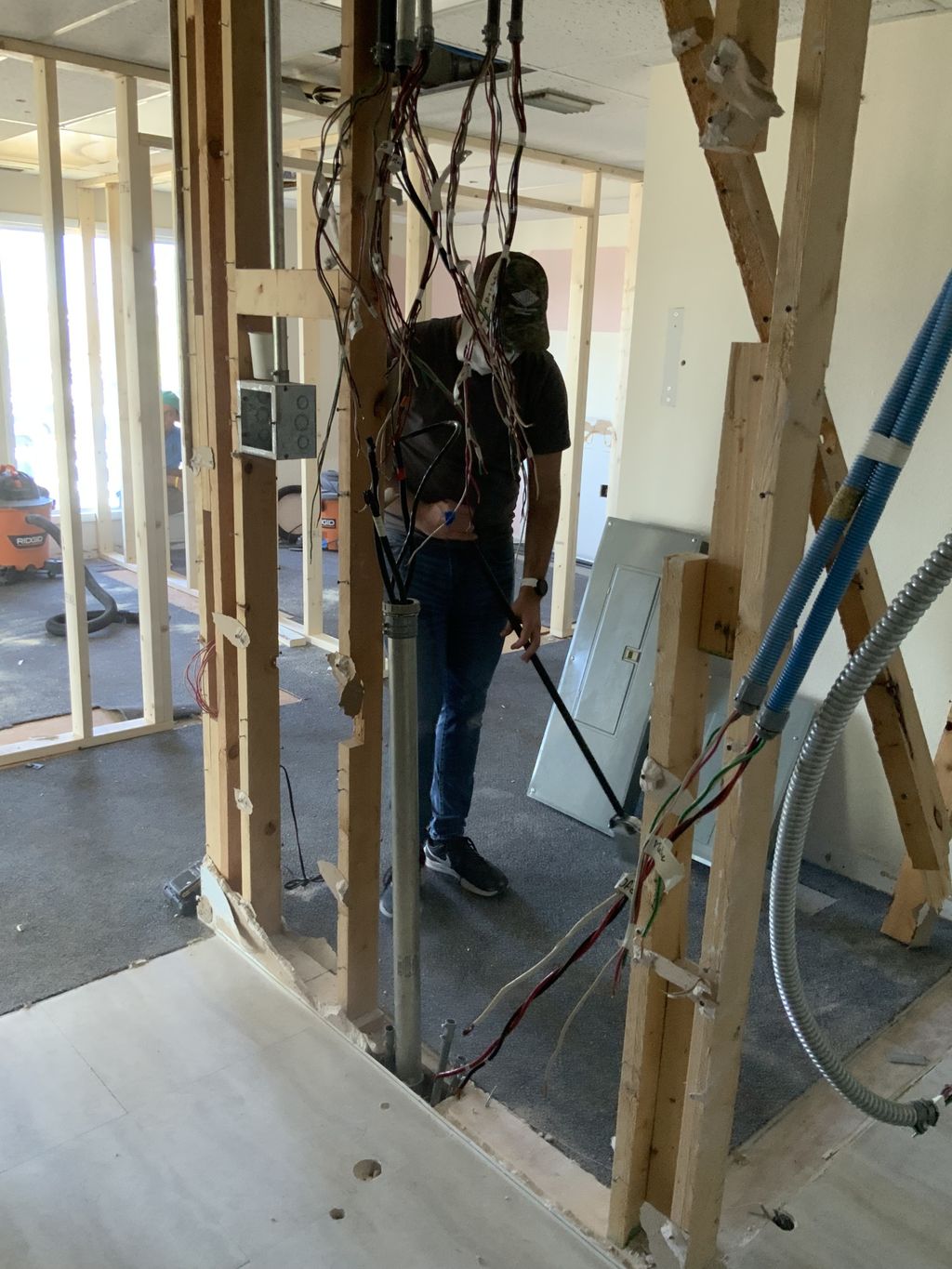 Projects and media
