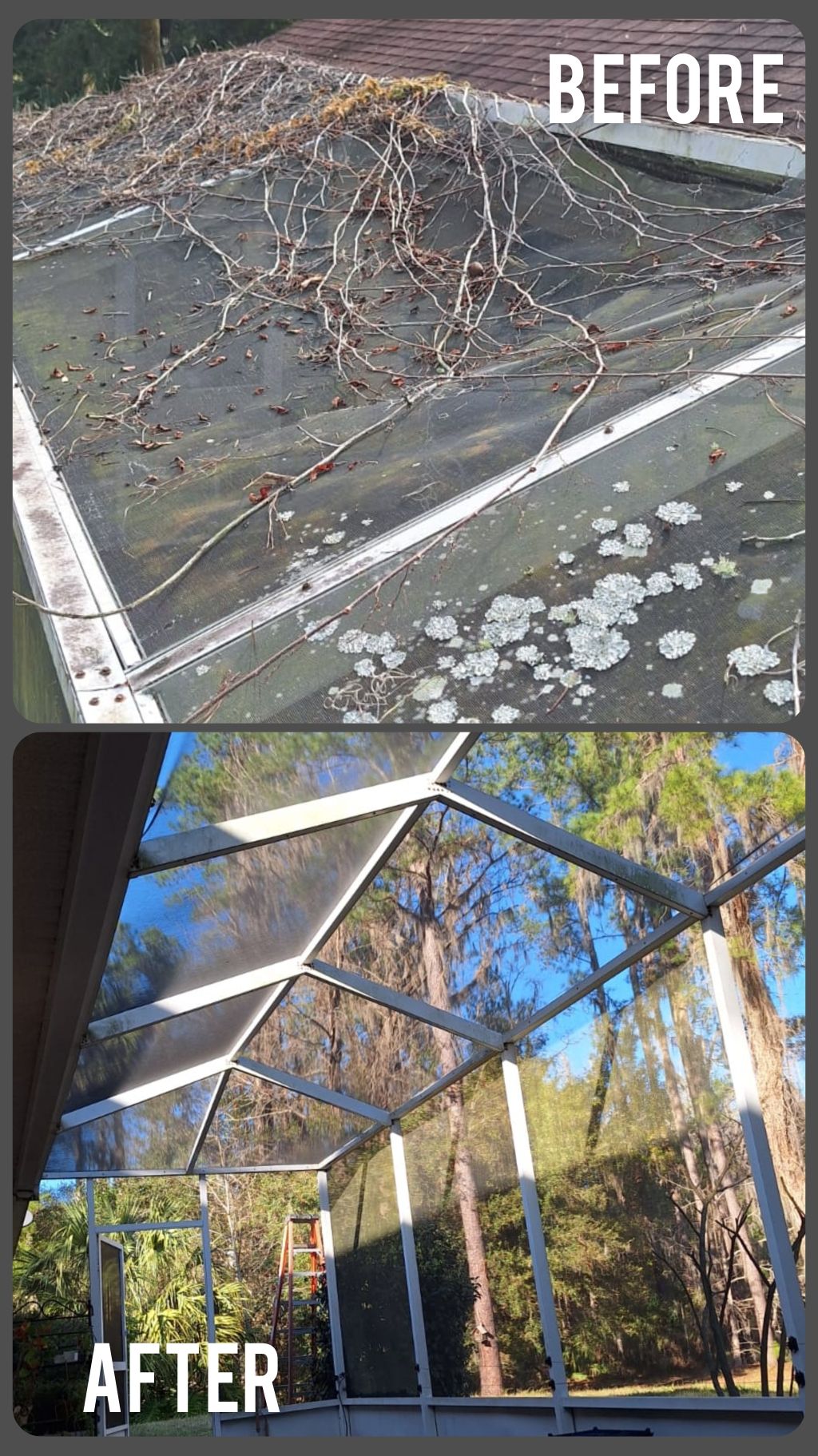 Porch screen replacement