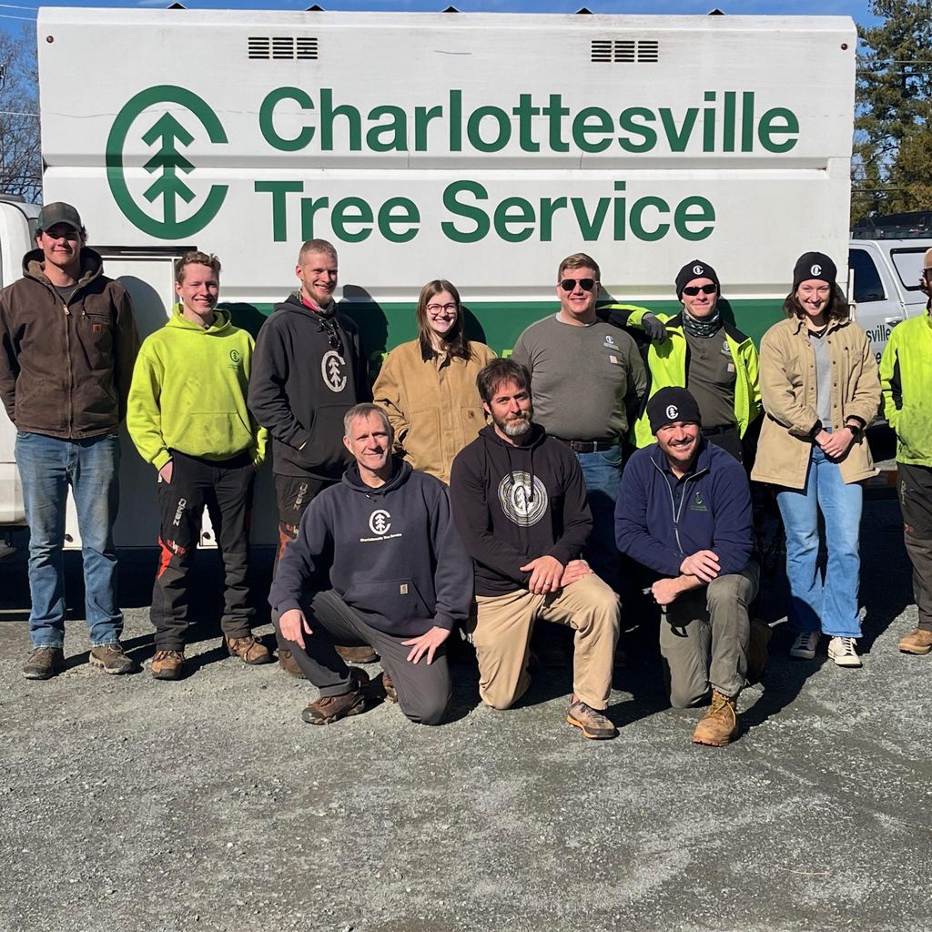 Charlottesville Tree Service