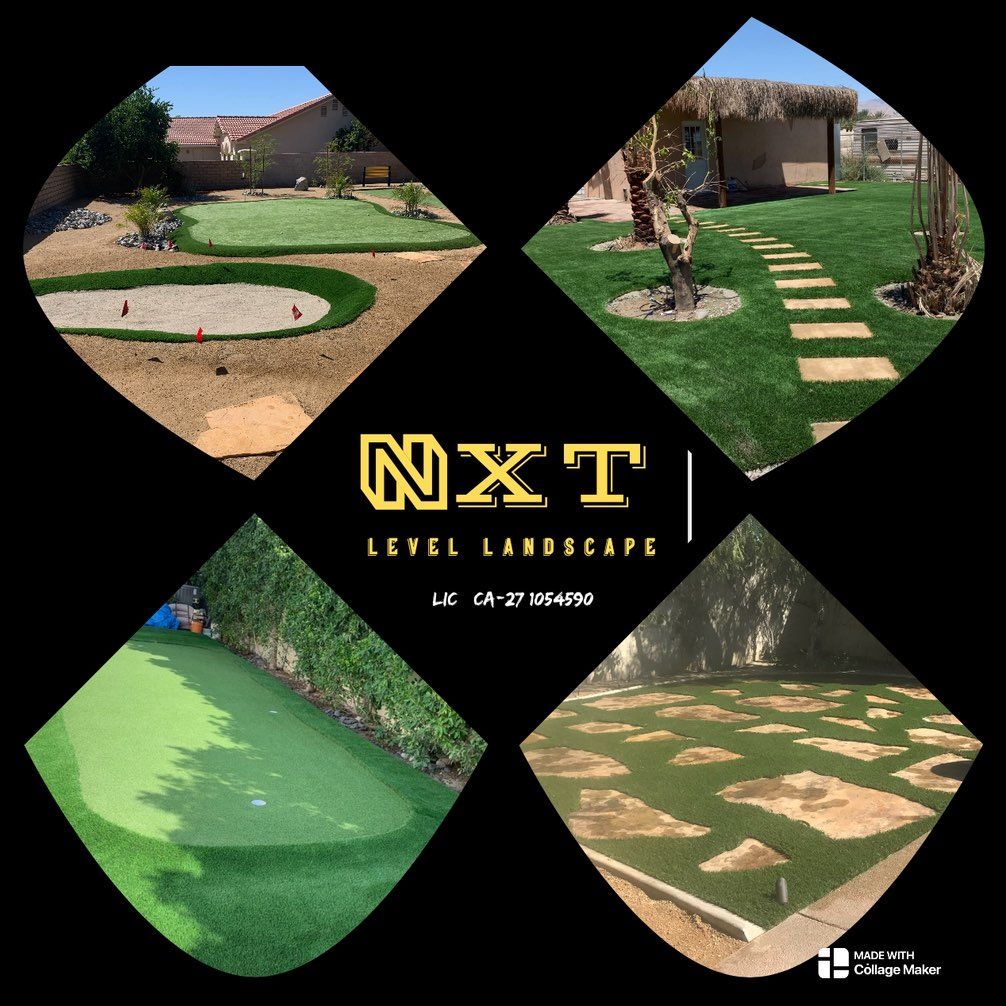 NXT Level Landscape