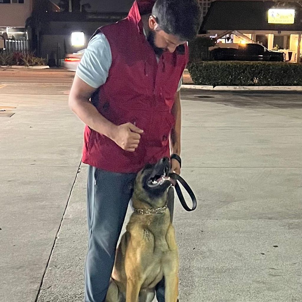 K9 Manners Dog Training