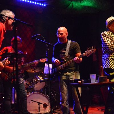 Avatar for The Gray Beard Band Akron