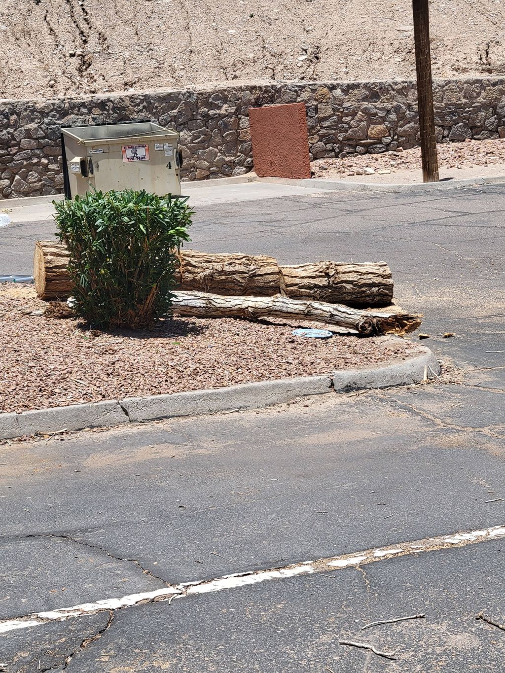 Just cut down your tree? let us get rid of it for 