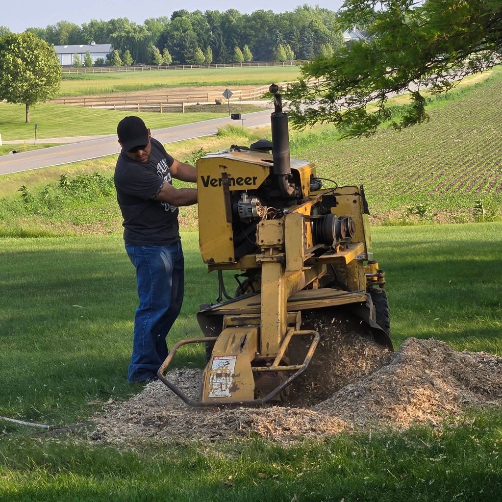 Rigo Stump Grinding