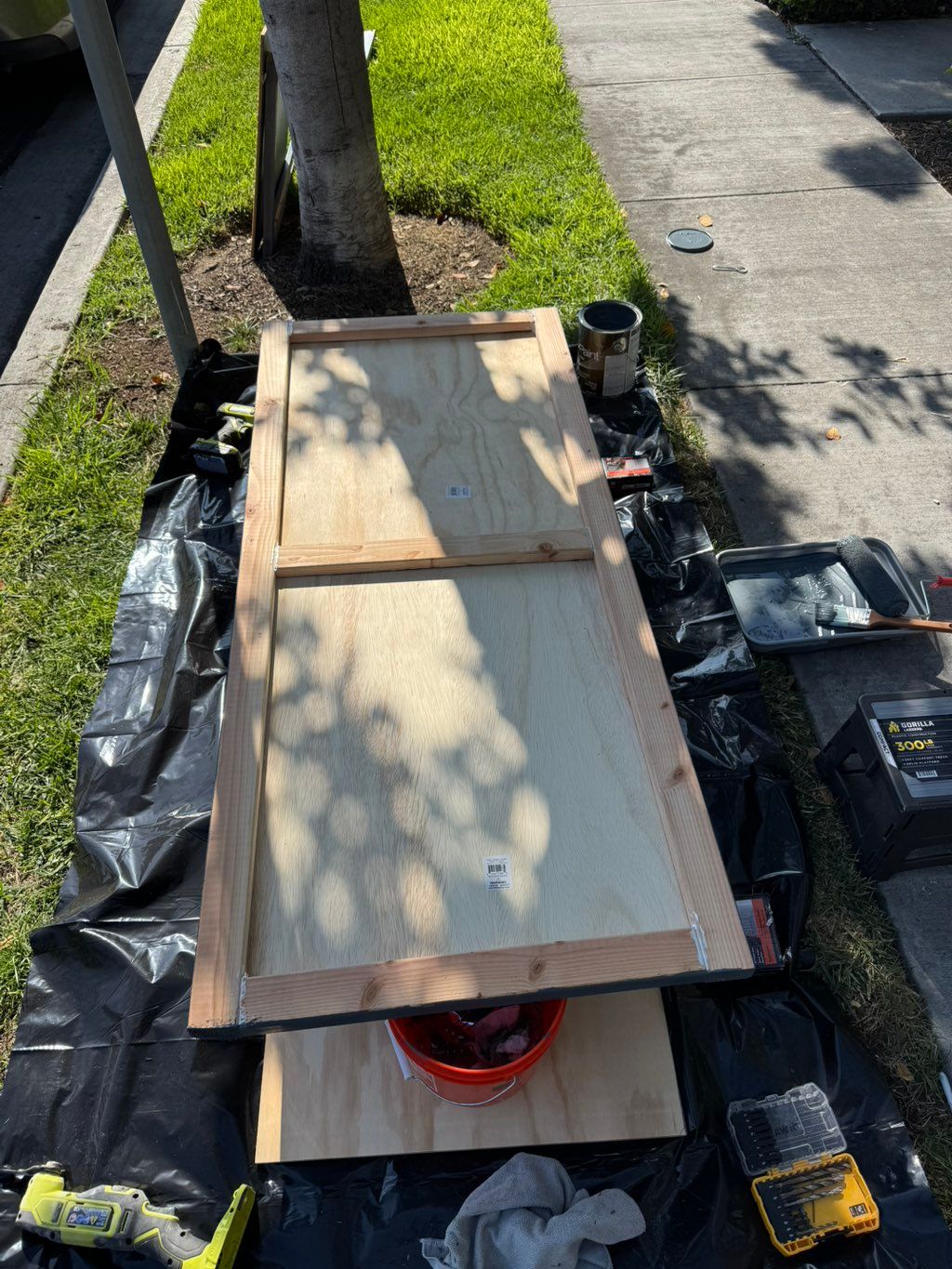 Projects and media