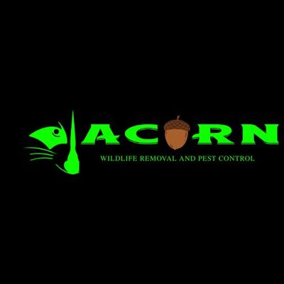 Avatar for Acorn Wildlife