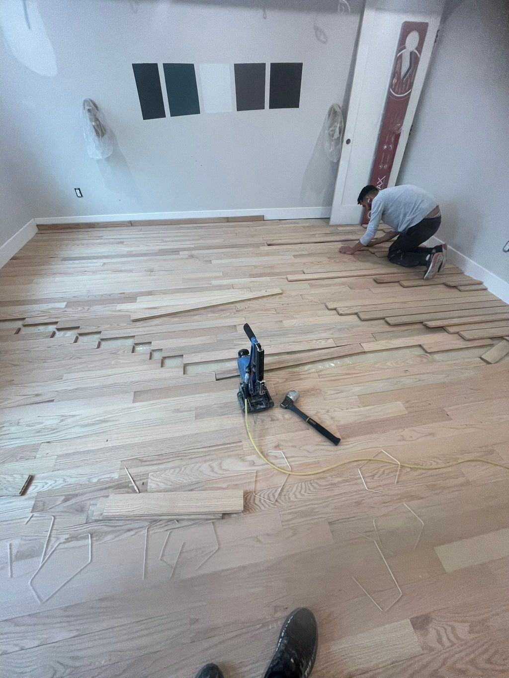 Projects and media