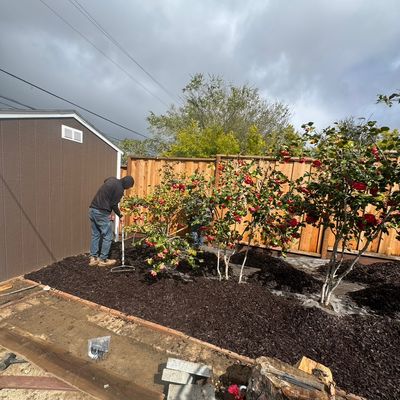 Avatar for general gardening services