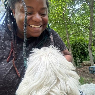 Avatar for Just ‘N Casey Pet & Home Care